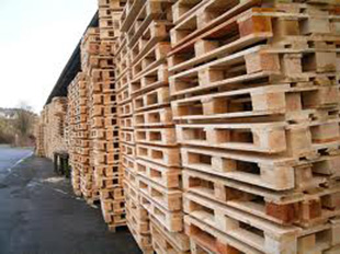 Wooden pallets industry